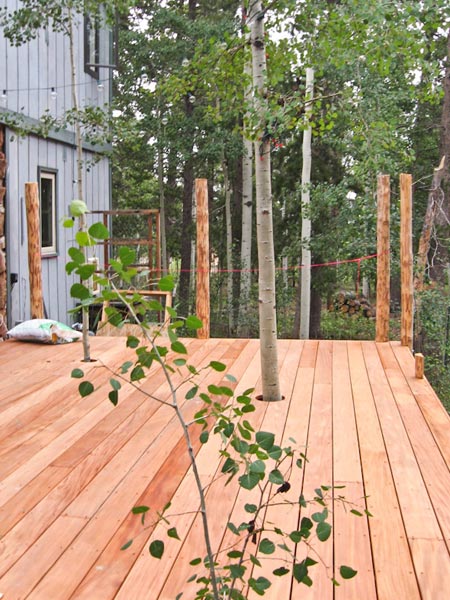 deck with aspen trees poking through