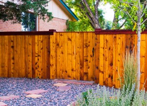 Custom Cedar Privacy Fence with Sealer